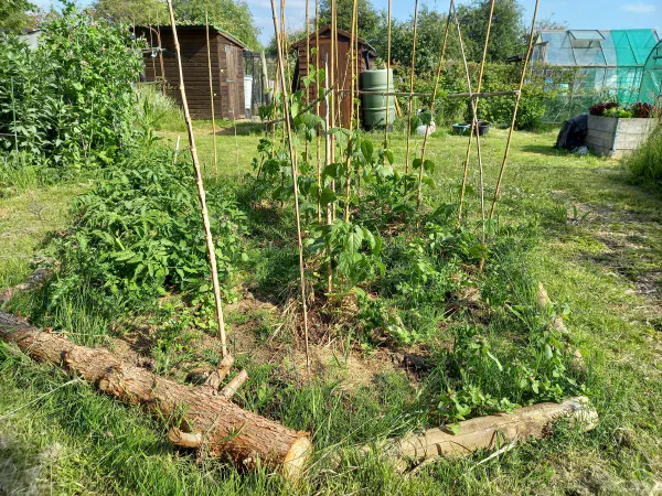 King George Road Allotment